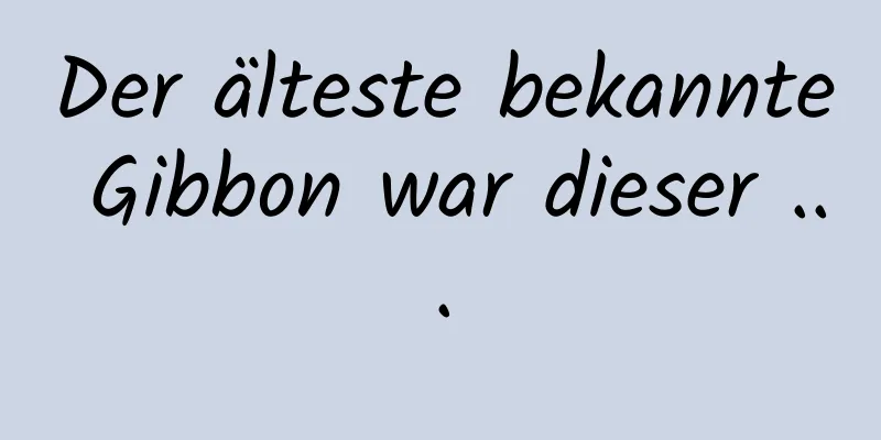 Der älteste bekannte Gibbon war dieser ...