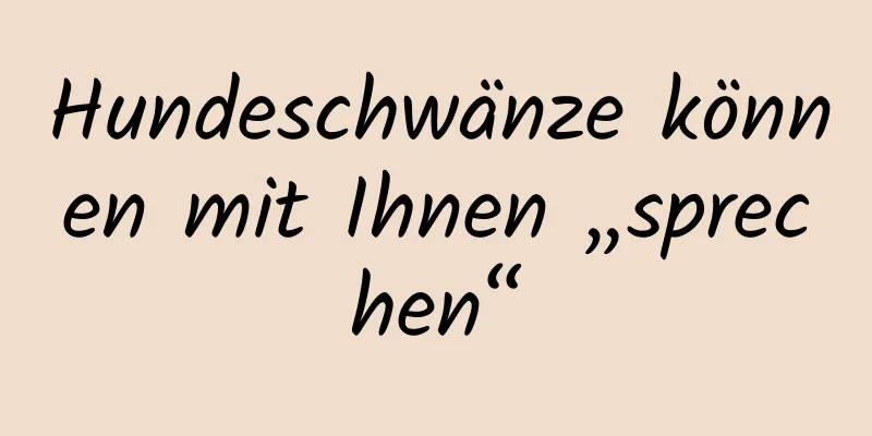 Hundeschwänze können mit Ihnen „sprechen“