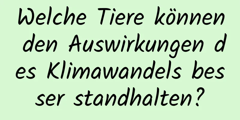 Welche Tiere können den Auswirkungen des Klimawandels besser standhalten?