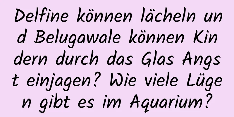 Delfine können lächeln und Belugawale können Kindern durch das Glas Angst einjagen? Wie viele Lügen gibt es im Aquarium?