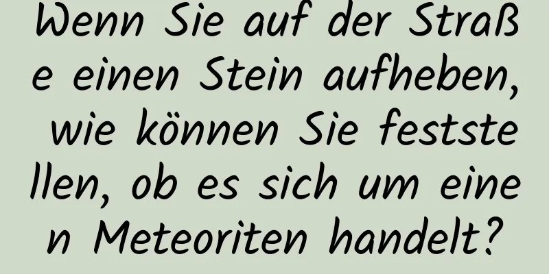 Wenn Sie auf der Straße einen Stein aufheben, wie können Sie feststellen, ob es sich um einen Meteoriten handelt?
