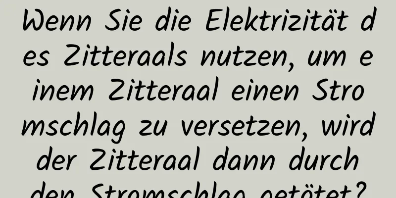 Wenn Sie die Elektrizität des Zitteraals nutzen, um einem Zitteraal einen Stromschlag zu versetzen, wird der Zitteraal dann durch den Stromschlag getötet?
