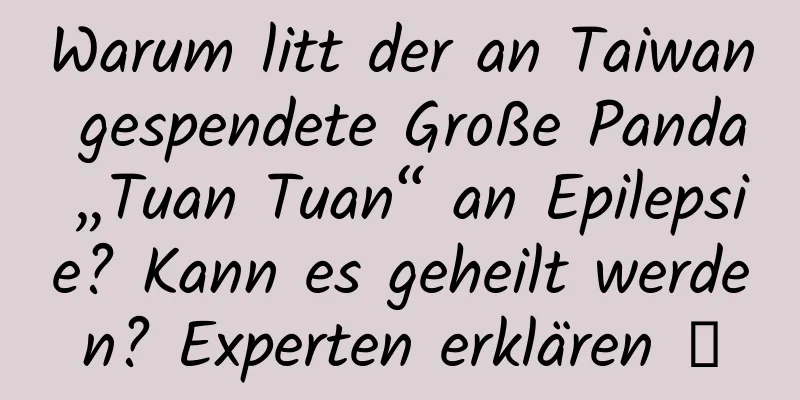 Warum litt der an Taiwan gespendete Große Panda „Tuan Tuan“ an Epilepsie? Kann es geheilt werden? Experten erklären →