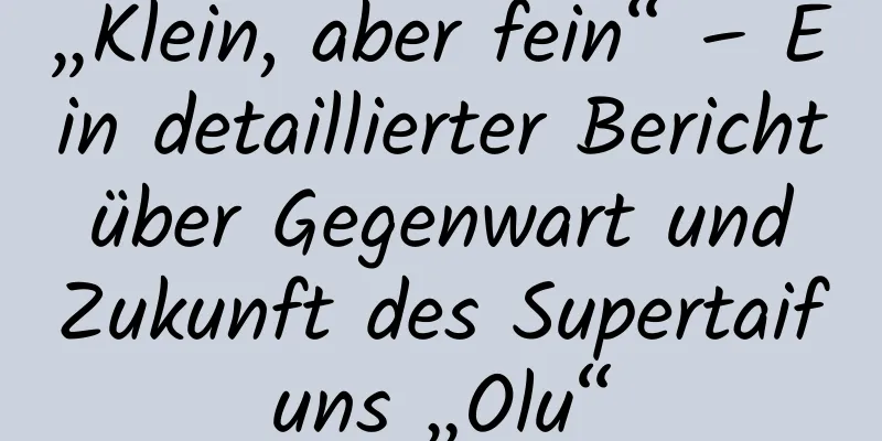„Klein, aber fein“ – Ein detaillierter Bericht über Gegenwart und Zukunft des Supertaifuns „Olu“