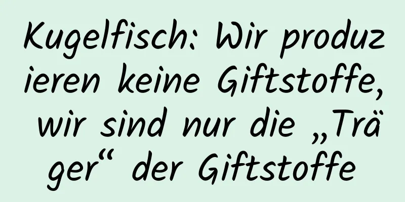Kugelfisch: Wir produzieren keine Giftstoffe, wir sind nur die „Träger“ der Giftstoffe
