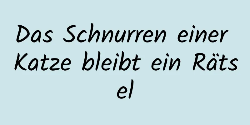Das Schnurren einer Katze bleibt ein Rätsel