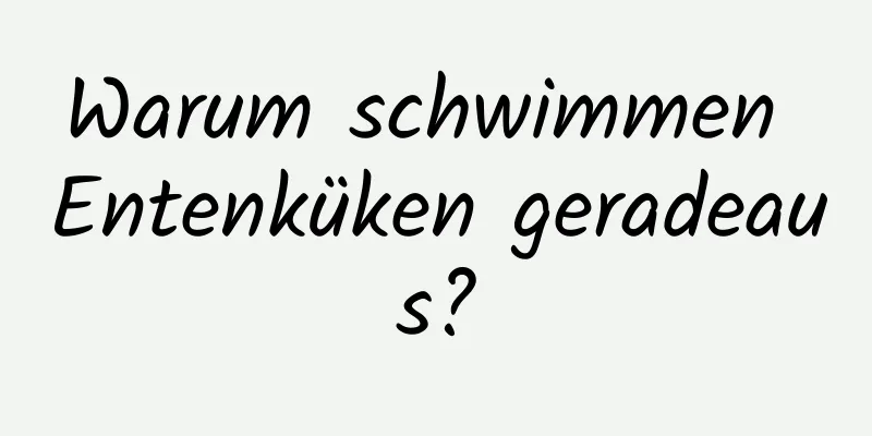 Warum schwimmen Entenküken geradeaus?