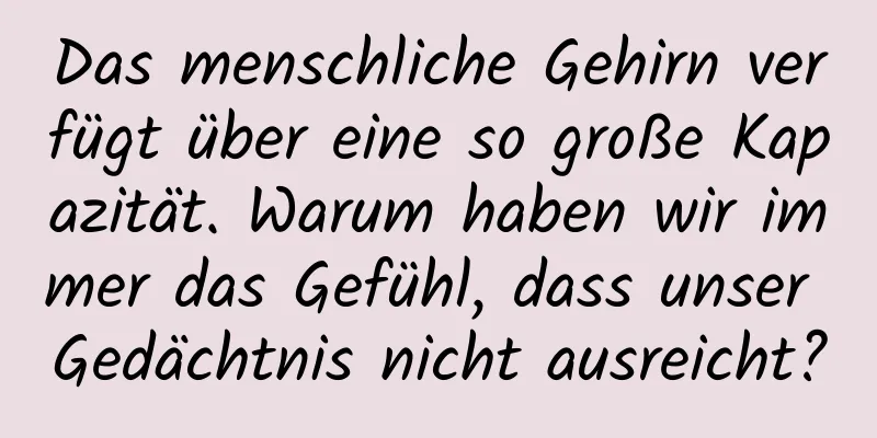 Das menschliche Gehirn verfügt über eine so große Kapazität. Warum haben wir immer das Gefühl, dass unser Gedächtnis nicht ausreicht?