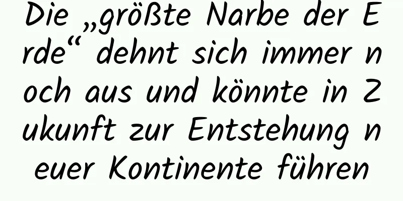 Die „größte Narbe der Erde“ dehnt sich immer noch aus und könnte in Zukunft zur Entstehung neuer Kontinente führen