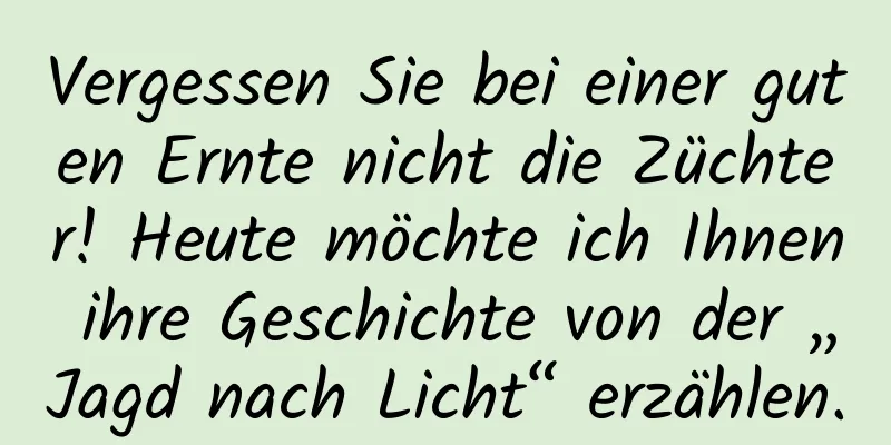 Vergessen Sie bei einer guten Ernte nicht die Züchter! Heute möchte ich Ihnen ihre Geschichte von der „Jagd nach Licht“ erzählen.