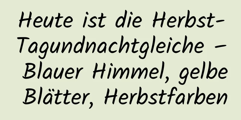 Heute ist die Herbst-Tagundnachtgleiche – Blauer Himmel, gelbe Blätter, Herbstfarben