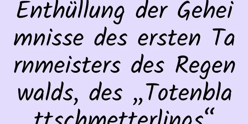 Enthüllung der Geheimnisse des ersten Tarnmeisters des Regenwalds, des „Totenblattschmetterlings“