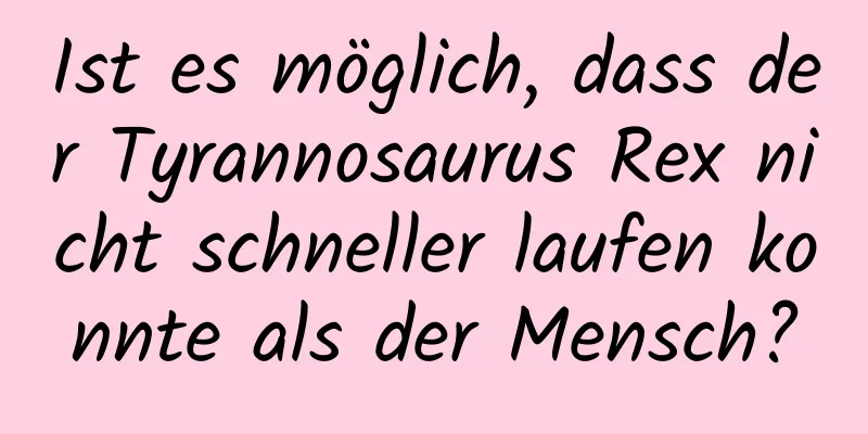 Ist es möglich, dass der Tyrannosaurus Rex nicht schneller laufen konnte als der Mensch?