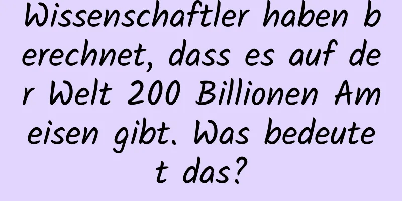 Wissenschaftler haben berechnet, dass es auf der Welt 200 Billionen Ameisen gibt. Was bedeutet das?