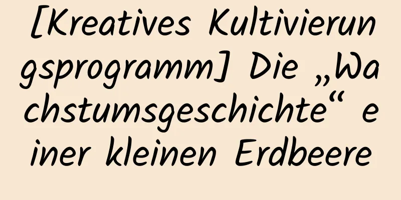 [Kreatives Kultivierungsprogramm] Die „Wachstumsgeschichte“ einer kleinen Erdbeere