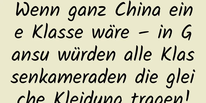 Wenn ganz China eine Klasse wäre – in Gansu würden alle Klassenkameraden die gleiche Kleidung tragen!