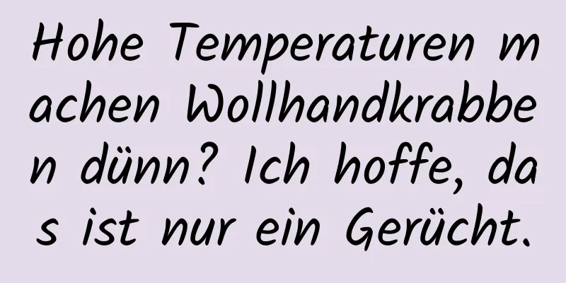 Hohe Temperaturen machen Wollhandkrabben dünn? Ich hoffe, das ist nur ein Gerücht.