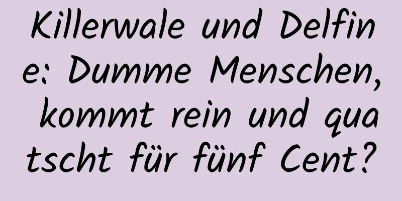 Killerwale und Delfine: Dumme Menschen, kommt rein und quatscht für fünf Cent?