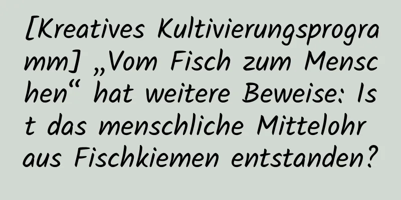 [Kreatives Kultivierungsprogramm] „Vom Fisch zum Menschen“ hat weitere Beweise: Ist das menschliche Mittelohr aus Fischkiemen entstanden?