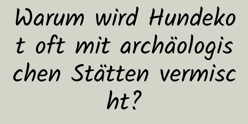 Warum wird Hundekot oft mit archäologischen Stätten vermischt?