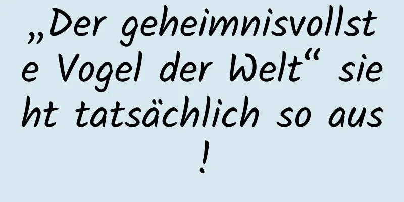 „Der geheimnisvollste Vogel der Welt“ sieht tatsächlich so aus!