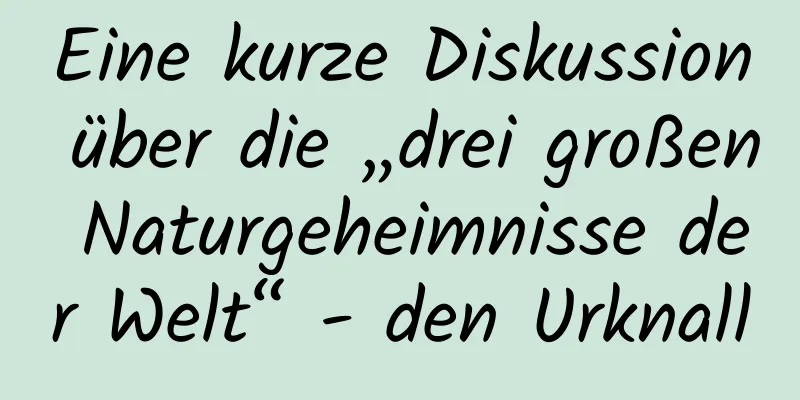Eine kurze Diskussion über die „drei großen Naturgeheimnisse der Welt“ - den Urknall