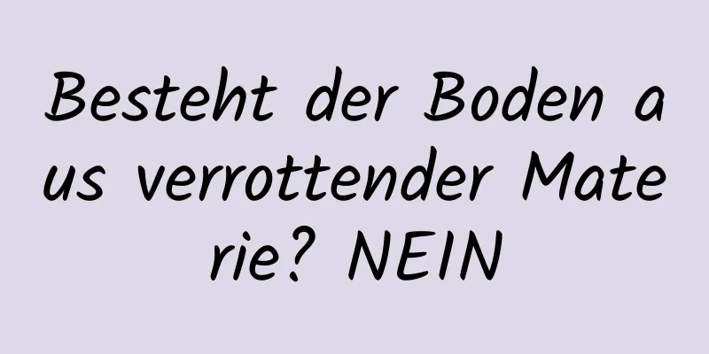 Besteht der Boden aus verrottender Materie? NEIN