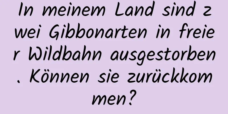In meinem Land sind zwei Gibbonarten in freier Wildbahn ausgestorben. Können sie zurückkommen?