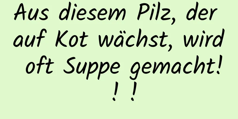 Aus diesem Pilz, der auf Kot wächst, wird oft Suppe gemacht! ! !