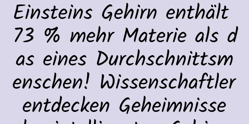 Einsteins Gehirn enthält 73 % mehr Materie als das eines Durchschnittsmenschen! Wissenschaftler entdecken Geheimnisse des intelligenten Gehirns