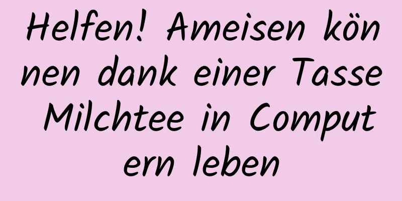 Helfen! Ameisen können dank einer Tasse Milchtee in Computern leben