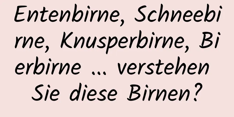 Entenbirne, Schneebirne, Knusperbirne, Bierbirne ... verstehen Sie diese Birnen?