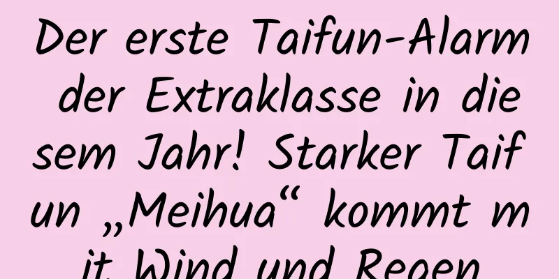 Der erste Taifun-Alarm der Extraklasse in diesem Jahr! Starker Taifun „Meihua“ kommt mit Wind und Regen