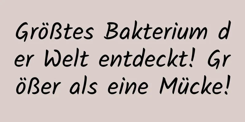 Größtes Bakterium der Welt entdeckt! Größer als eine Mücke!