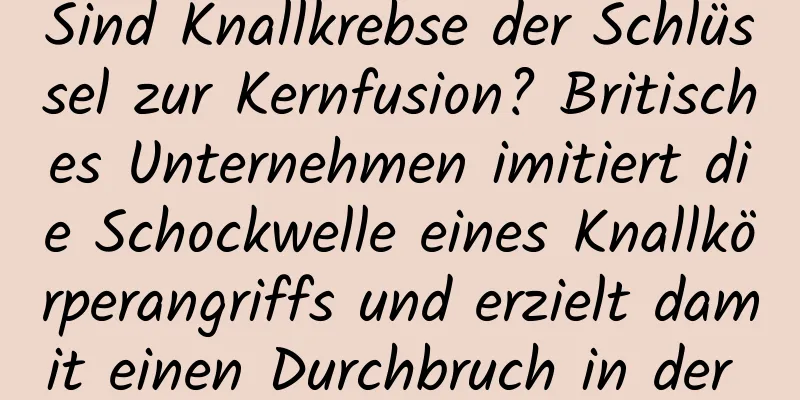 Sind Knallkrebse der Schlüssel zur Kernfusion? Britisches Unternehmen imitiert die Schockwelle eines Knallkörperangriffs und erzielt damit einen Durchbruch in der Fusionsforschung