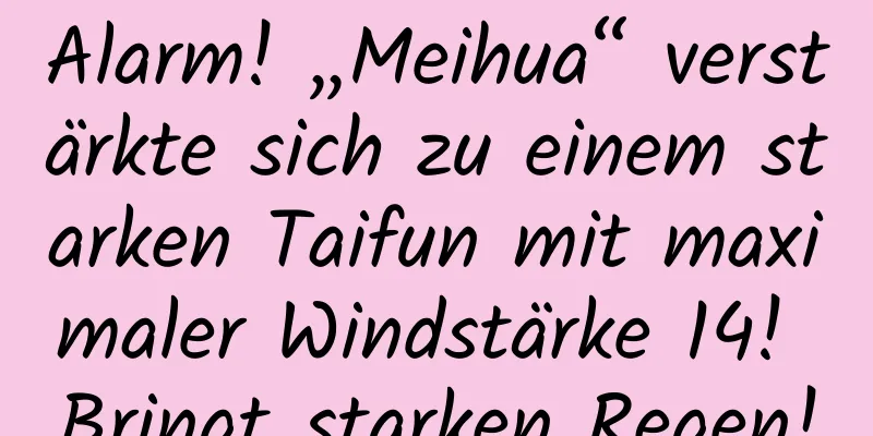 Alarm! „Meihua“ verstärkte sich zu einem starken Taifun mit maximaler Windstärke 14! Bringt starken Regen!