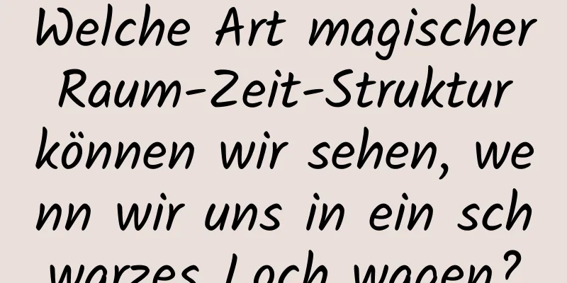 Welche Art magischer Raum-Zeit-Struktur können wir sehen, wenn wir uns in ein schwarzes Loch wagen?