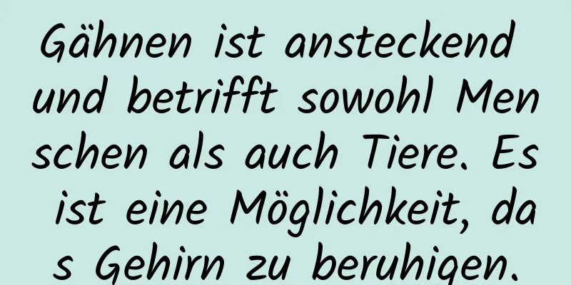 Gähnen ist ansteckend und betrifft sowohl Menschen als auch Tiere. Es ist eine Möglichkeit, das Gehirn zu beruhigen.