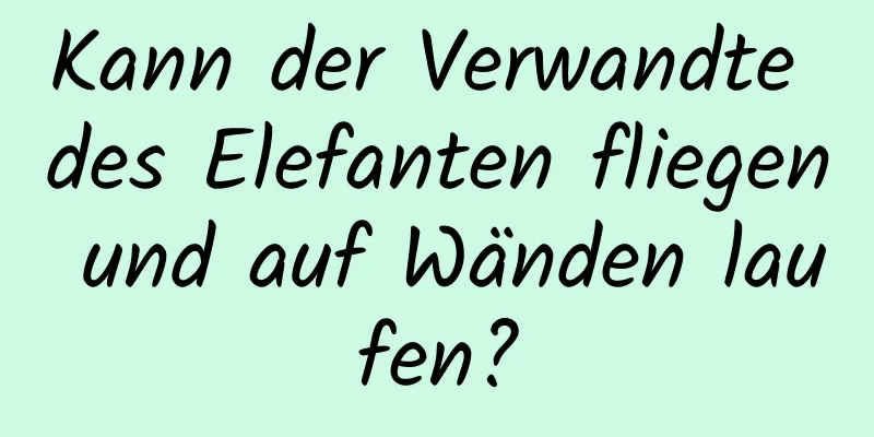 Kann der Verwandte des Elefanten fliegen und auf Wänden laufen?