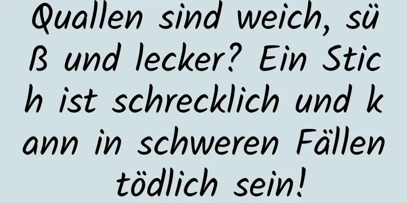 Quallen sind weich, süß und lecker? Ein Stich ist schrecklich und kann in schweren Fällen tödlich sein!