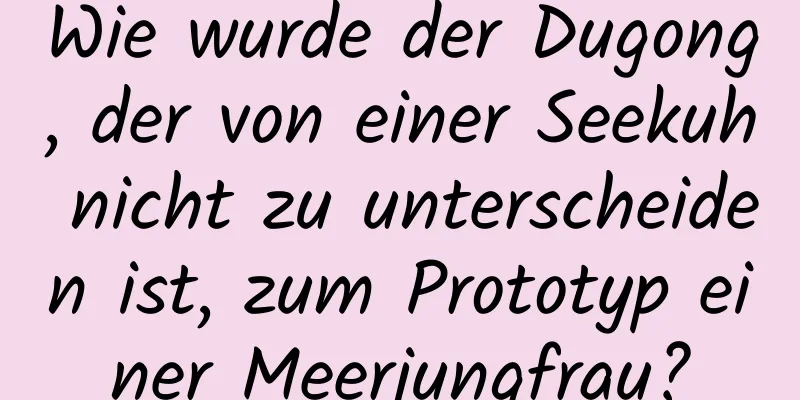 Wie wurde der Dugong, der von einer Seekuh nicht zu unterscheiden ist, zum Prototyp einer Meerjungfrau?