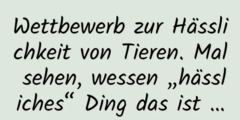 Wettbewerb zur Hässlichkeit von Tieren. Mal sehen, wessen „hässliches“ Ding das ist …