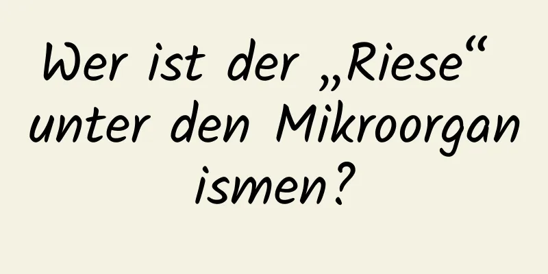 Wer ist der „Riese“ unter den Mikroorganismen?
