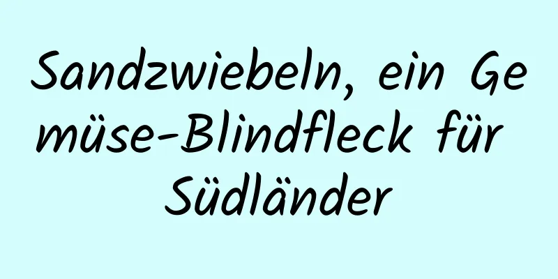 Sandzwiebeln, ein Gemüse-Blindfleck für Südländer
