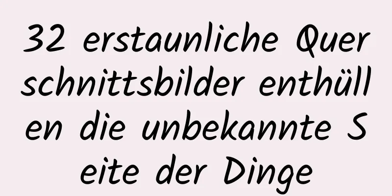 32 erstaunliche Querschnittsbilder enthüllen die unbekannte Seite der Dinge
