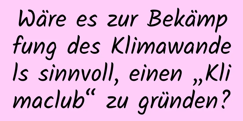 Wäre es zur Bekämpfung des Klimawandels sinnvoll, einen „Klimaclub“ zu gründen?