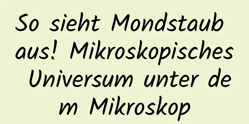 So sieht Mondstaub aus! Mikroskopisches Universum unter dem Mikroskop