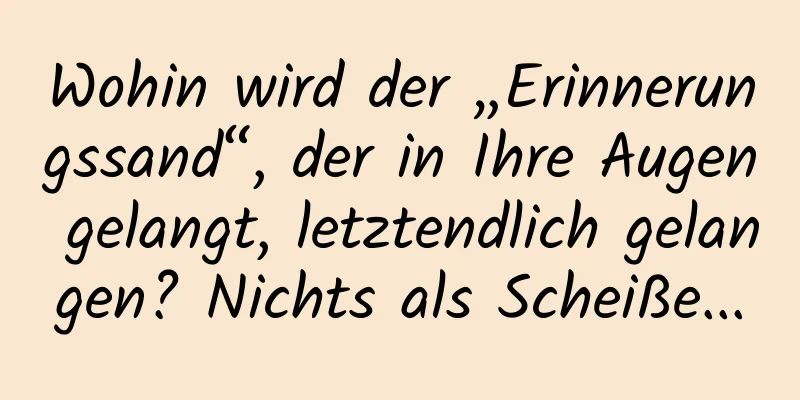 Wohin wird der „Erinnerungssand“, der in Ihre Augen gelangt, letztendlich gelangen? Nichts als Scheiße...