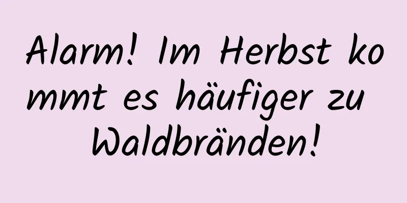 Alarm! Im Herbst kommt es häufiger zu Waldbränden!