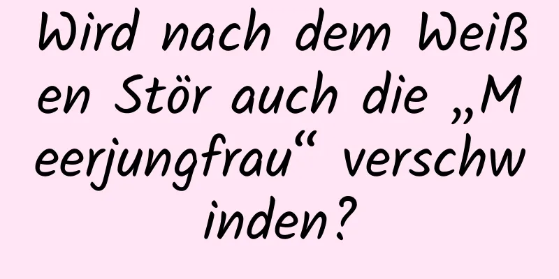 Wird nach dem Weißen Stör auch die „Meerjungfrau“ verschwinden?